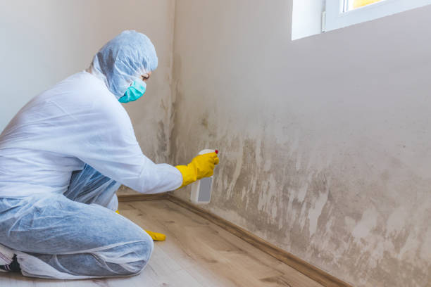 Bathroom Mold Removal assessment in Dendron bathroom