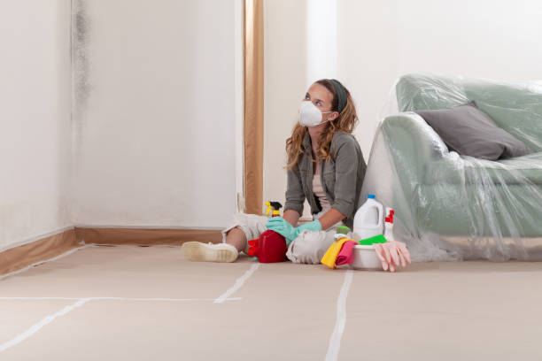 Mold Removal service in Dendron
